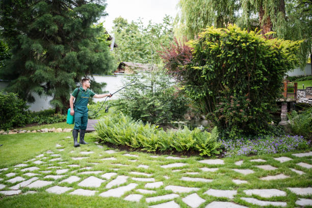 Best Affordable Pest Control Services  in Eagle Grove, IA